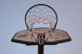 开云体育在线入口-NBA联盟与高校篮球合作开发机制研究，大学篮球联盟叫什么