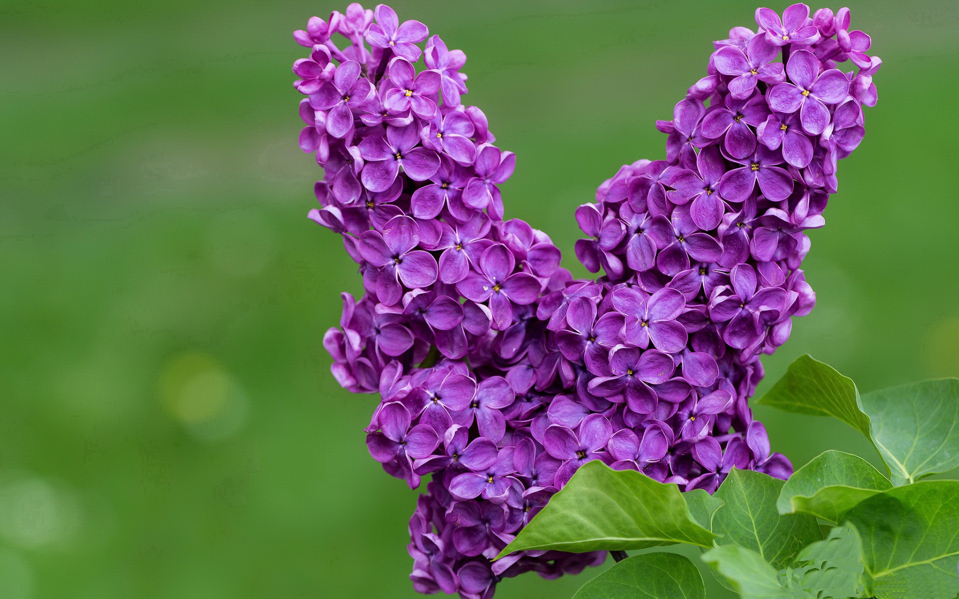 开云体育在线入口-中国香港队的未来突破：技术革新与全球乒乓竞争的对接，香港队乒乓球比赛