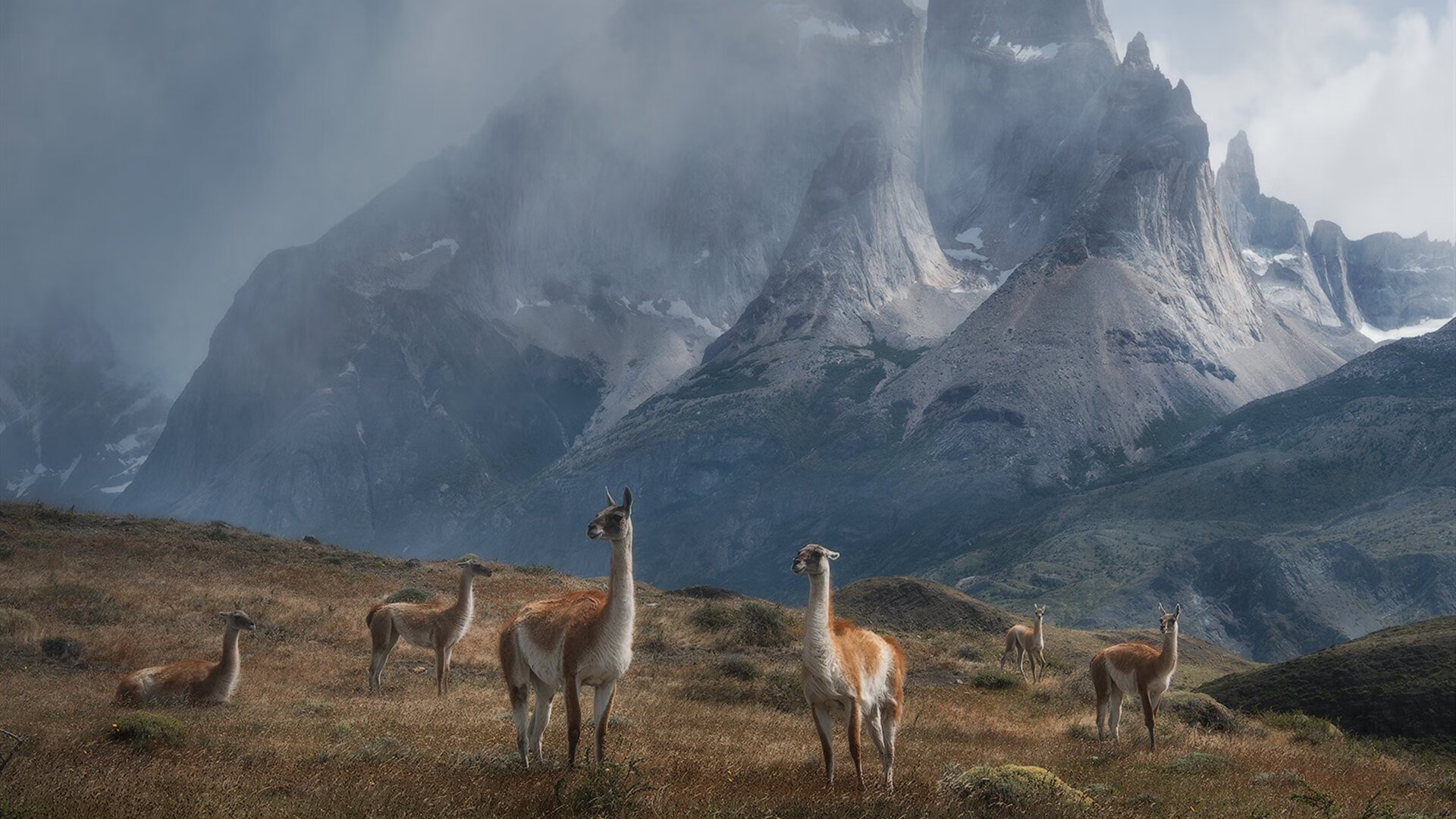 开云体育下载-俱乐部人事更替频率影响技战术延续性