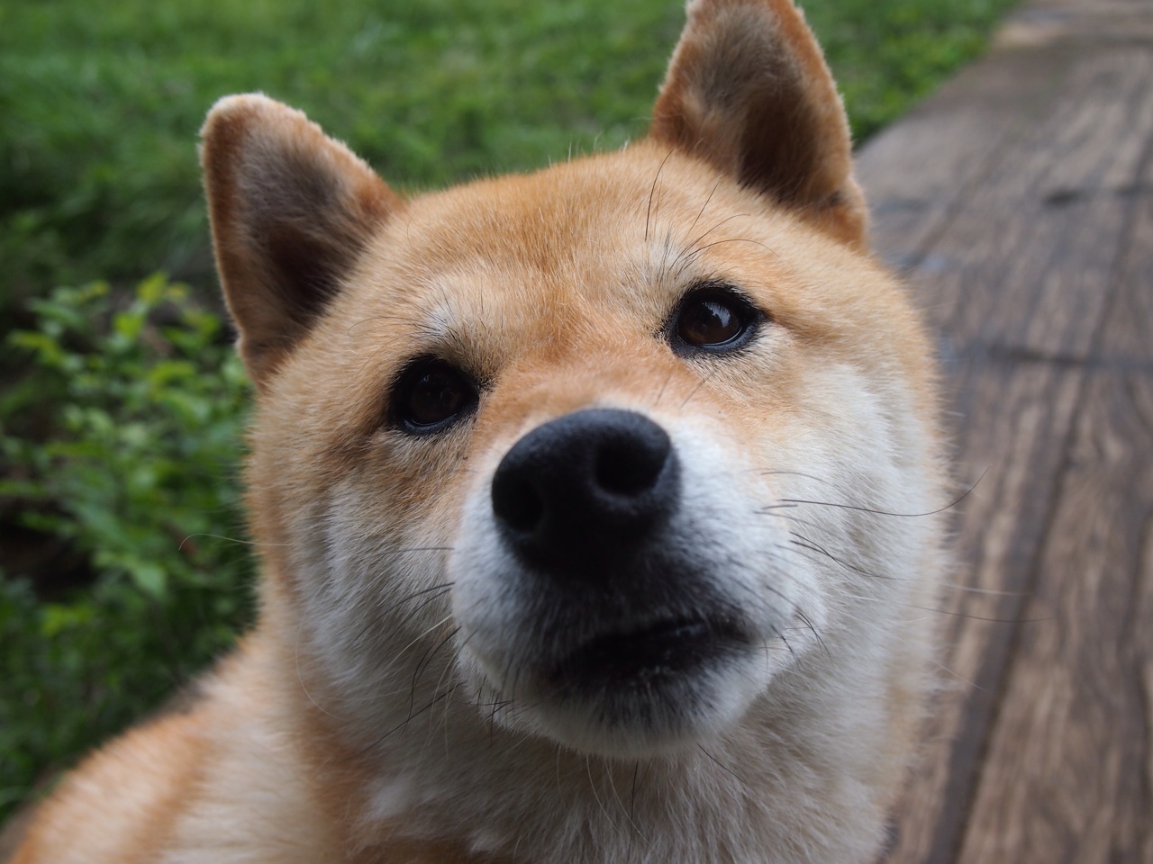 开云体育登录-切尔西体能分配科学，持续保持高强度，切尔西什么水平