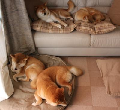 开云在线登入-球员心理辅导体制不完善,球员心理辅导体制不完善的原因