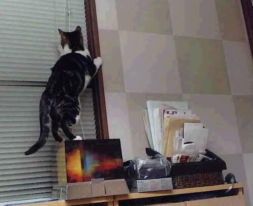 开云体育app注册-瑞典队乒乓战术：高效发球与接发球的巧妙配合，瑞典著名乒乓球有哪些选手