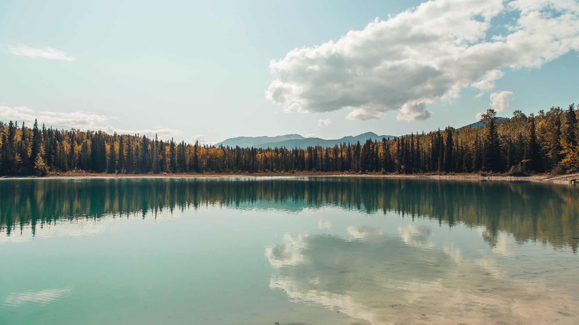 开云体育app下载-皇家贝蒂斯调整中场结构提升推进质量,皇家贝蒂斯厉害吗