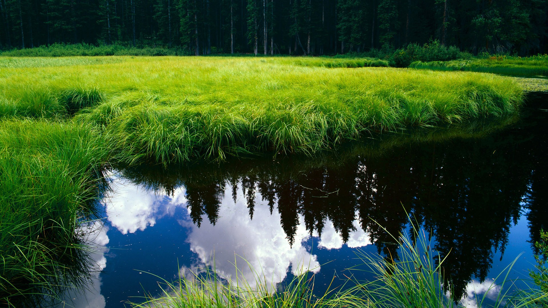 开云体育官网登入-职业联赛人才流动机制不合理，职业联赛招聘