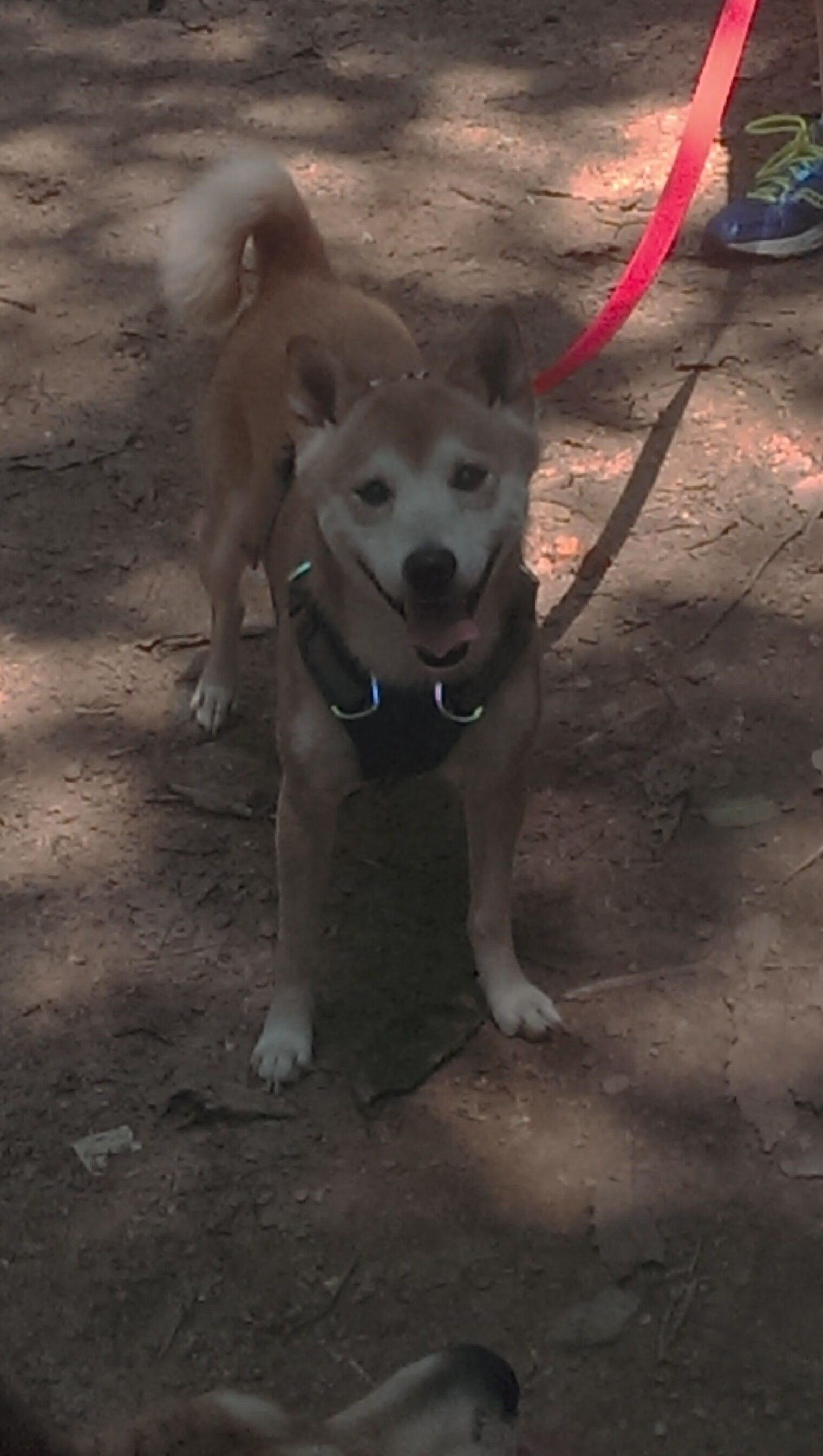 开云体育官网在线-中国足球职业俱乐部加强青少年球员心理辅导,我国足球青少年人才培养存在的问题