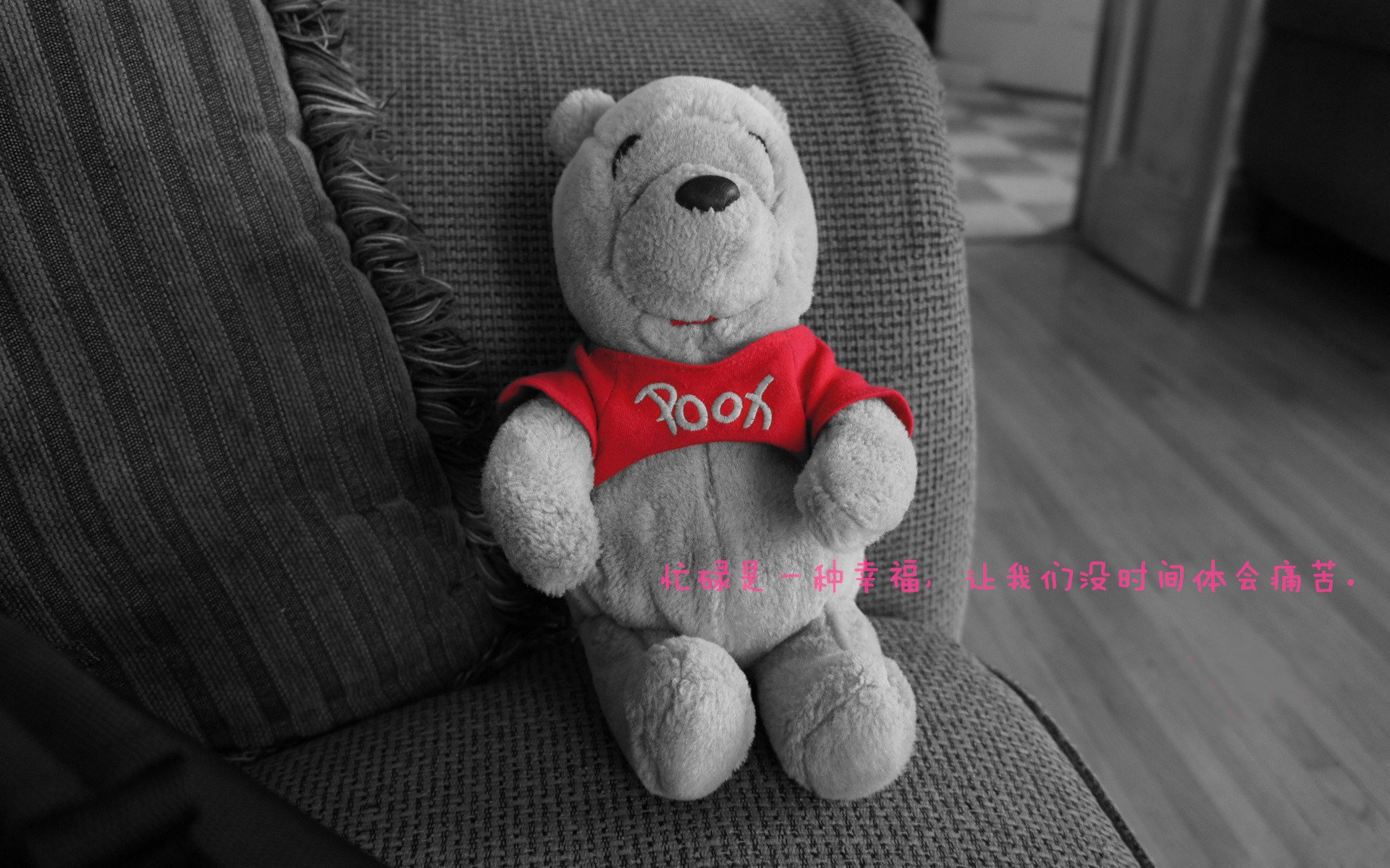 开云官方网-拉尼·帕利斯特决赛表现超出预期,帕拉尼恩斯vs奎托