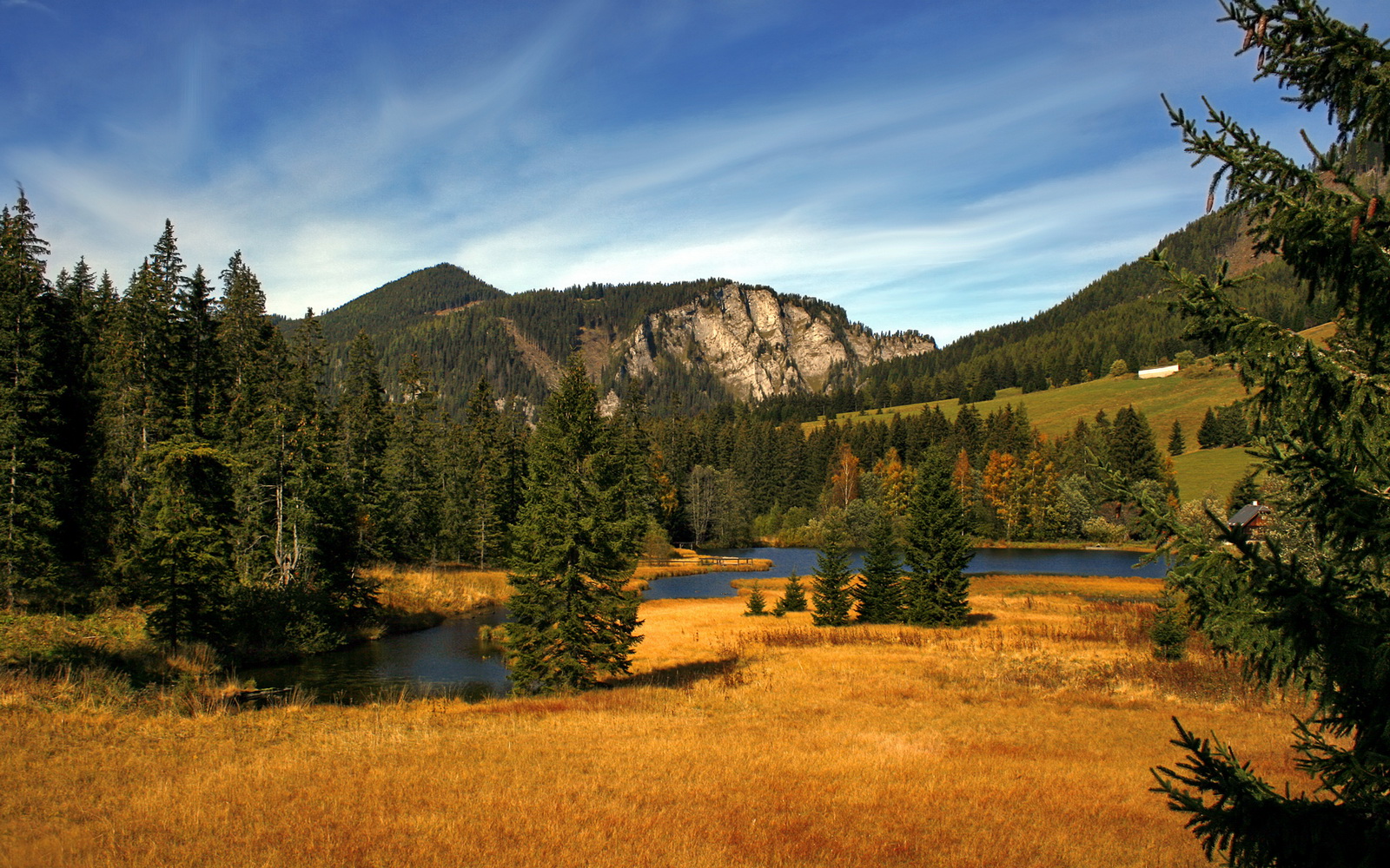 开云体育官网app-英超反击战:快攻速如闪电,英超打防反的球队